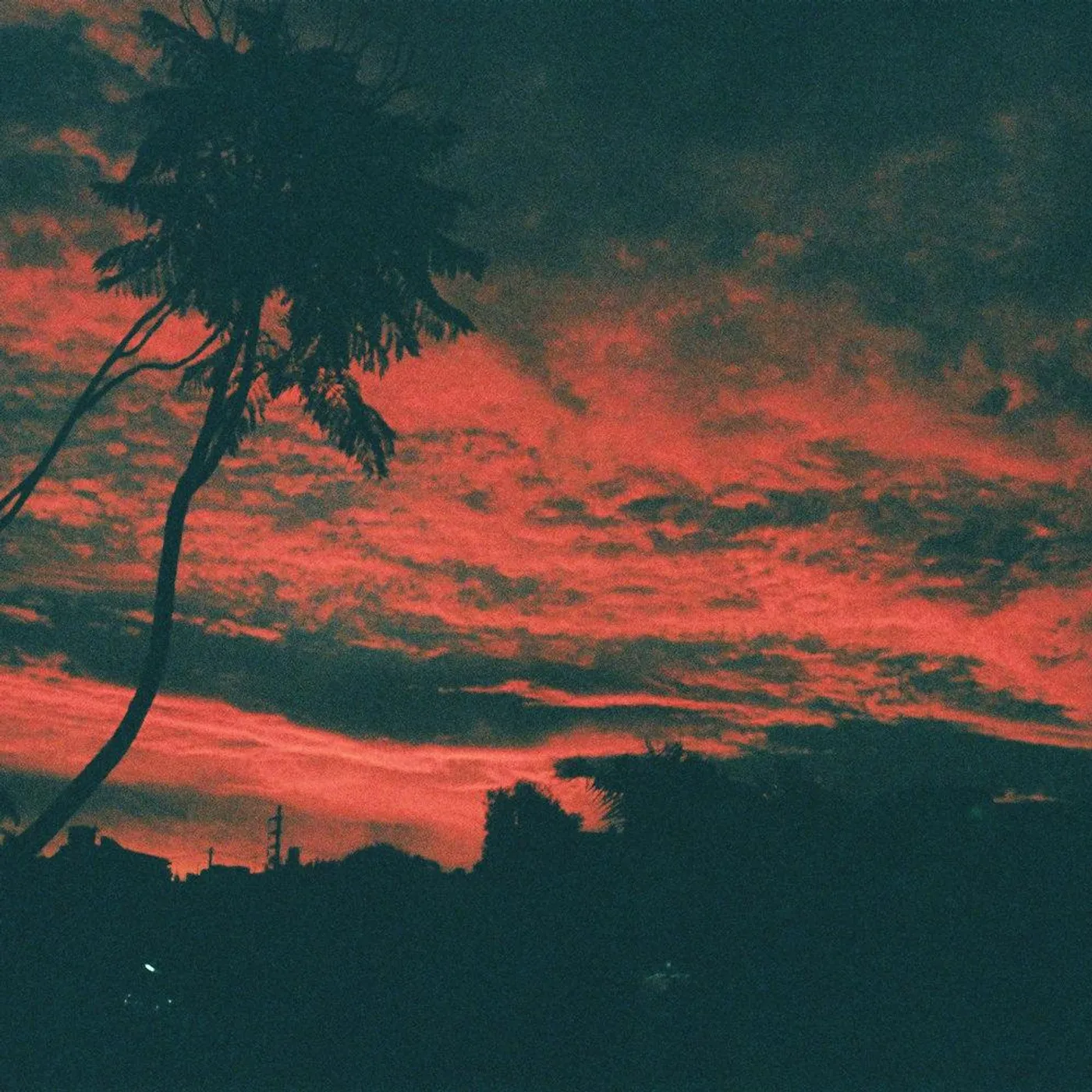 MALENA ZAVALA - ALISO [12" VINYL]
